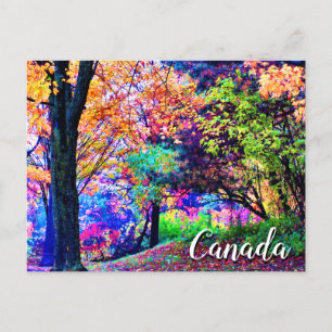 Fantastische Herbstfarben Herbstlaub Bäume Landsch Postkarte
