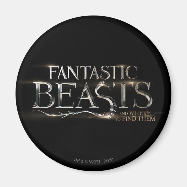FANTASTISCHE KÄSTE UND WO SIE IHR Logo FINDEN KÖNN Magnet (Vorne)