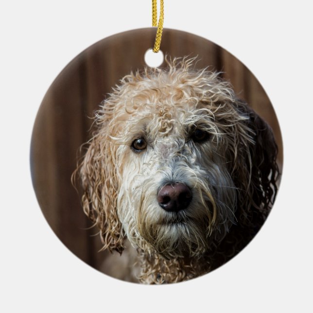 Fantastische Labradoodle Welpengeschenke Keramikornament (Vorne)