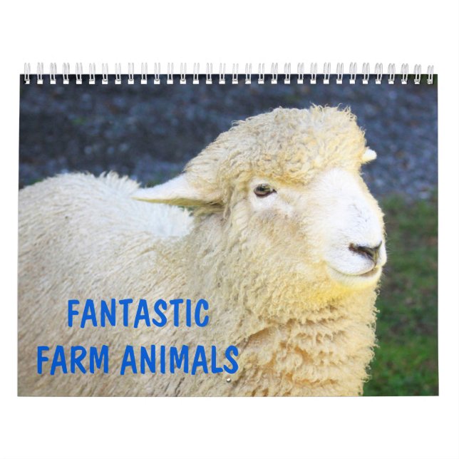 Fantastische Landtiere Kalender (Titelbild)
