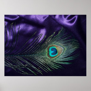 Fantastische lila Pfau-Feder Poster