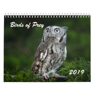 Fantastische Raubvögel Fotokalender 2019 Kalender