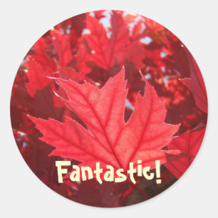 Fantastische Rote Herbstleaf Aufkleber Blätter Nat
