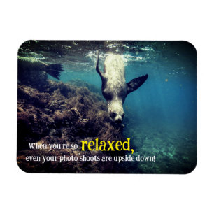 Fantastische Seelöwe unter Wasser Magnet