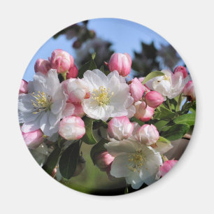 Fantastischer Blüten-Blumen-Fotografie-Magnet Magnet