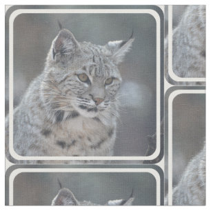 Fantastischer Bobcat Stoff
