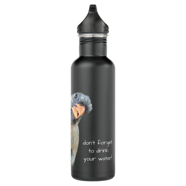 Fantastischer Kardinal, Erinnerung Wasser zu trink Edelstahlflasche (Rechts)