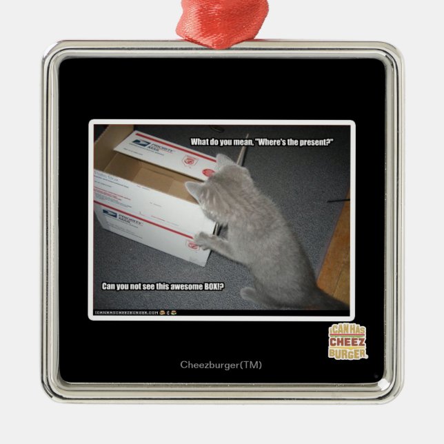 Fantastischer Kasten Ornament Aus Metall (Vorne)