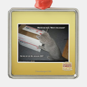 Fantastischer Kasten Silbernes Ornament