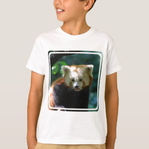 Fantastischer roter Panda T-Shirt