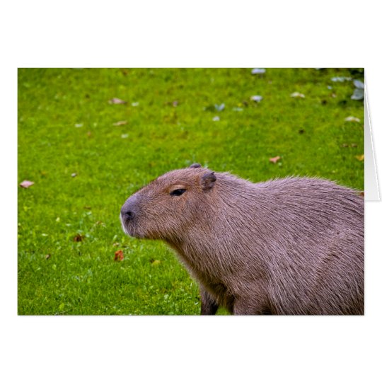 Fantastischer TierCapybara Karte