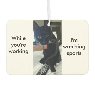 Fantastisches Katzensportfahrzeug Autolufterfrischer