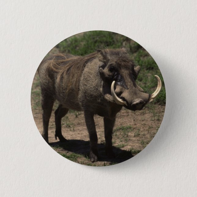 Fantastisches Warthog Button (Vorderseite)