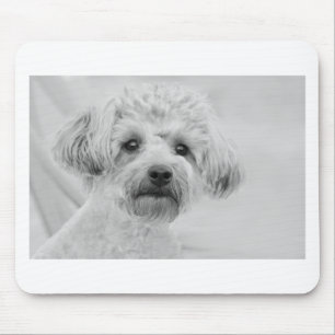 Fantastisches Yorkie Poo in den Sepia-Tönen Mousepad