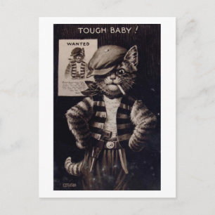 Fantasy Cat, Tough Baby Vintag Postkarte