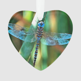 Fantasy Dragonfly in Türkis und Schwarz Ornament
