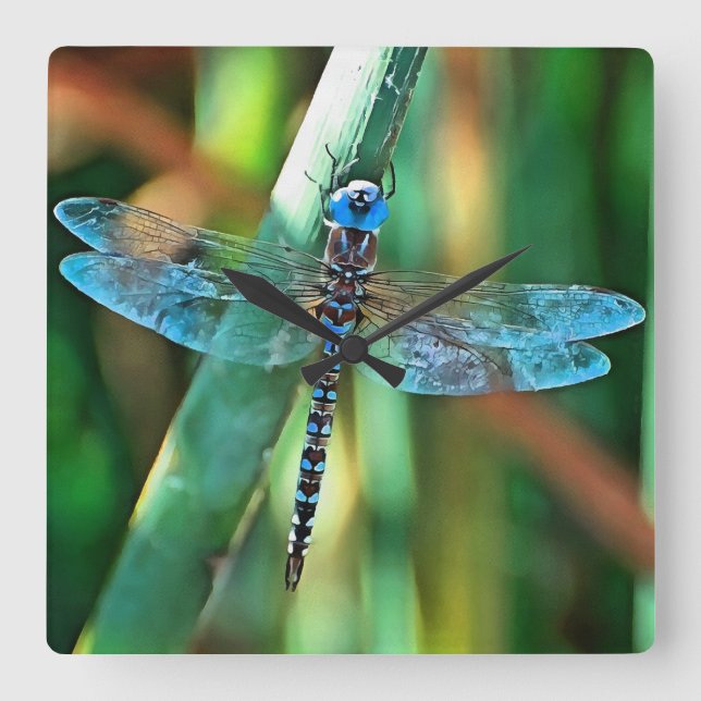 Fantasy Dragonfly in Türkis und Schwarz Quadratische Wanduhr (Vorderseite)