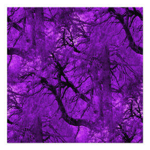 Fantasy Forest... Poster