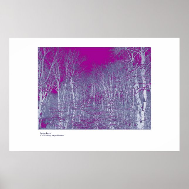 Fantasy Forest Poster (Vorne)