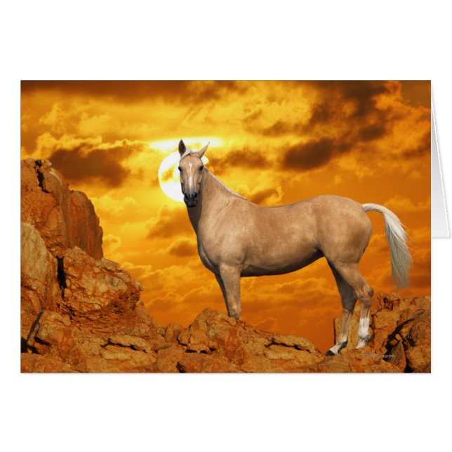 Fantasy Horses: Berg (Vorderseite (Horizontal))