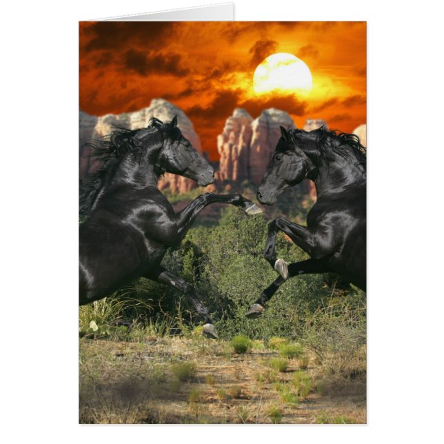 Fantasy Horses: Black Magic (Vorne)