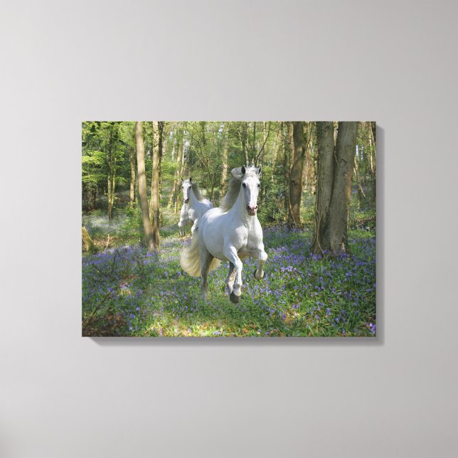 Fantasy Horses: Bluebell Wood Leinwanddruck (Vorderseite)