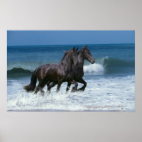 Fantasy Horses: Friesians & Sea