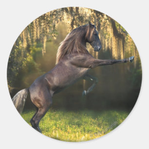 Fantasy Horses: Kriegerprinz Runder Aufkleber