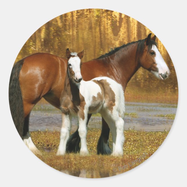 Fantasy Horses: Mare & Foal Runder Aufkleber (Vorderseite)