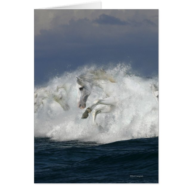 Fantasy Horses: Meer (Vorne)