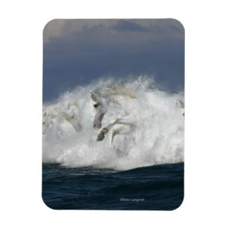 Fantasy Horses: Meer Magnet