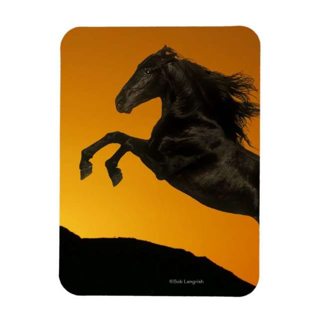 Fantasy Horses: Mountain Sunset Magnet (Vertikal)