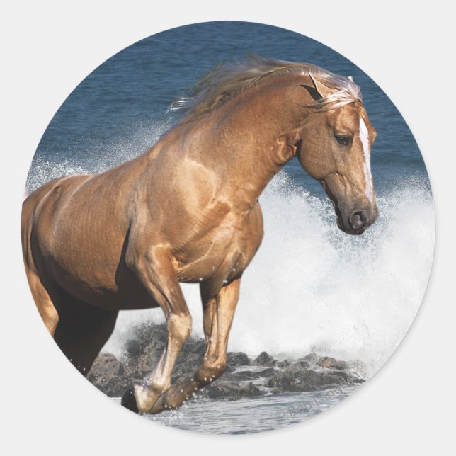 Fantasy Horses: Sommerspass Runder Aufkleber (Vorderseite)