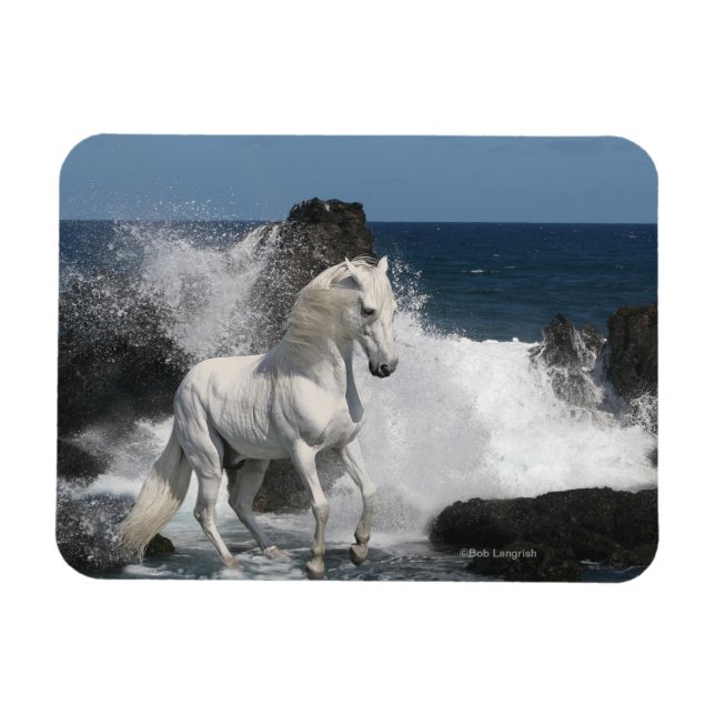 Fantasy Horses: Südliche Meere Magnet (Horizontal)