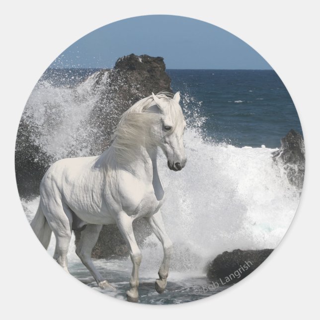 Fantasy Horses: Südliche Meere Runder Aufkleber (Vorderseite)