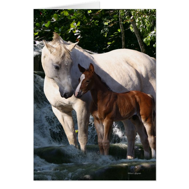 Fantasy Horses: Wasserfall (Vorne)