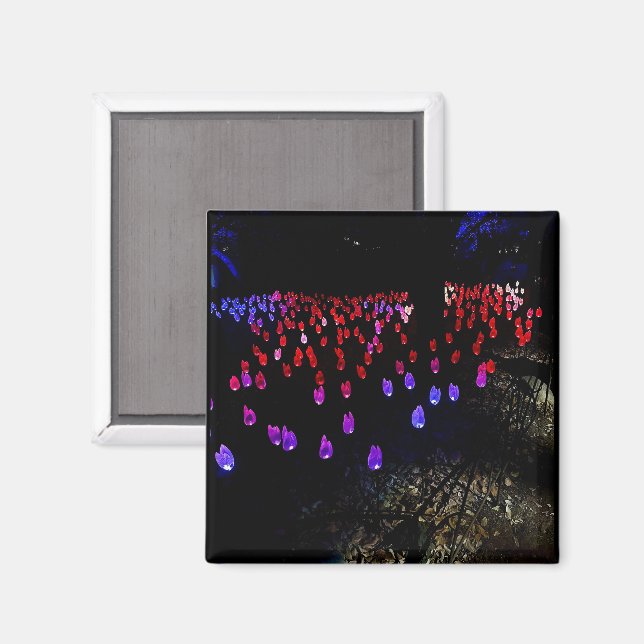 Fantasy Magnet (Vorderseite/Rückseite)