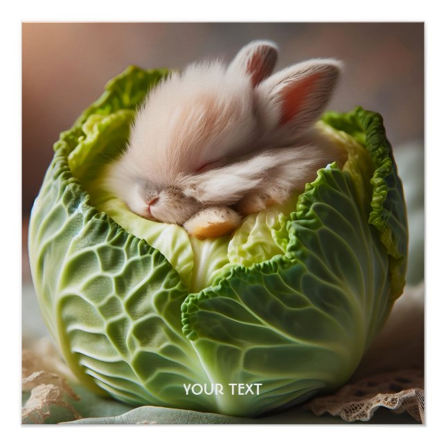 Fantasy Niedlich Baby Bunny Cabbage Poster (Vorderseite)