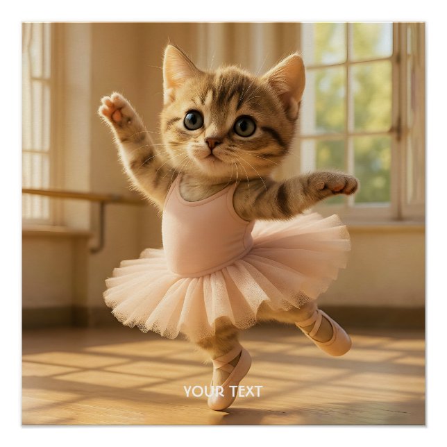 Fantasy Niedlich Kitten Kleine Ballerina Poster (Vorderseite)