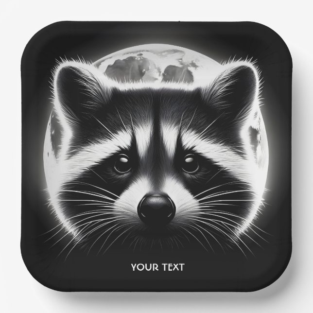 Fantasy Niedlich Racoon Face Moon Pappteller (Vorderseite)