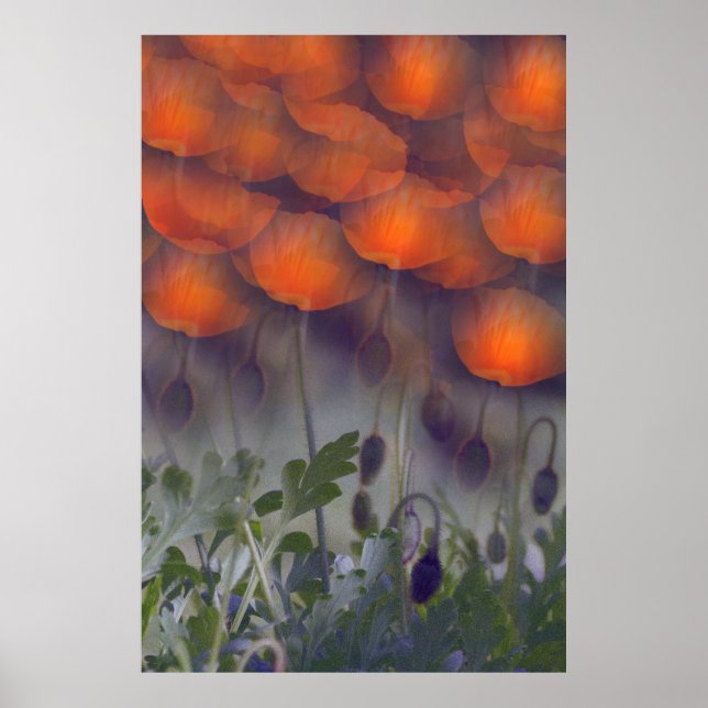 Fantasy Orange Poppy Skies Poster (Vorne)