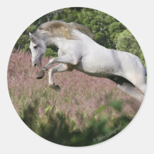 Fantasy Pferde: Frühjahrsgallop Runder Aufkleber
