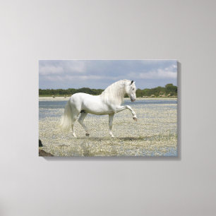 Fantasy Pferde: Herr des Sees Leinwanddruck