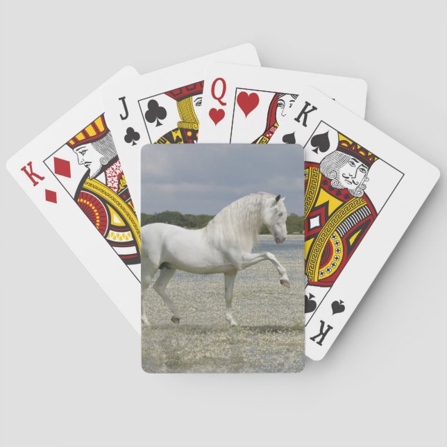 Fantasy Pferde: Herr des Sees Spielkarten (Rückseite)