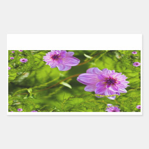 Fantasy Pink Dahlia Rechteckiger Aufkleber