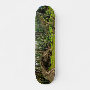 Fantasy T-Rex Tyrannosaurus Dragon Kampf Skateboard