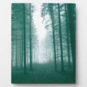 Fantasy-Wald mit Nebel in Grün Fotoplatte