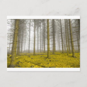 Fantasy-Wald mit Nebel und gelbem Blattwerk Postkarte