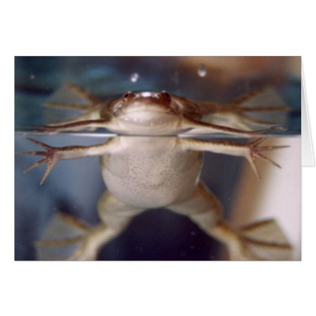 Fantôme de la carte Plusieurs Jambes (Devant horizontal)