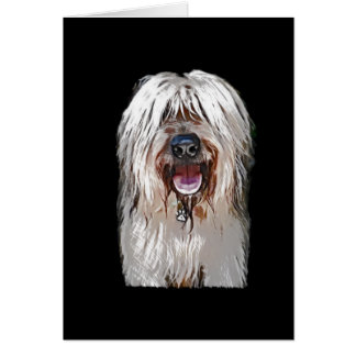 Faon de sourire Briard